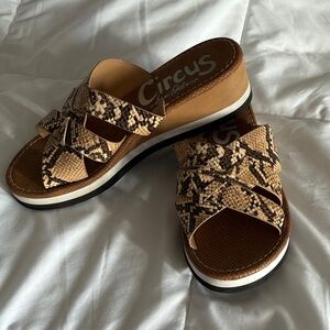 Circus by Sam Edelman Brown Snake Print Slides